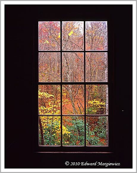 450689   From inside Mingus Mill during a rain storm, window 1